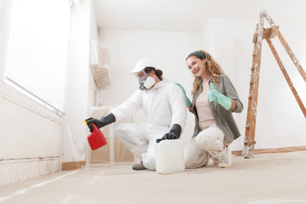 Best Comprehensive Air Testing for Mold Contaminants  in Summerset, SD