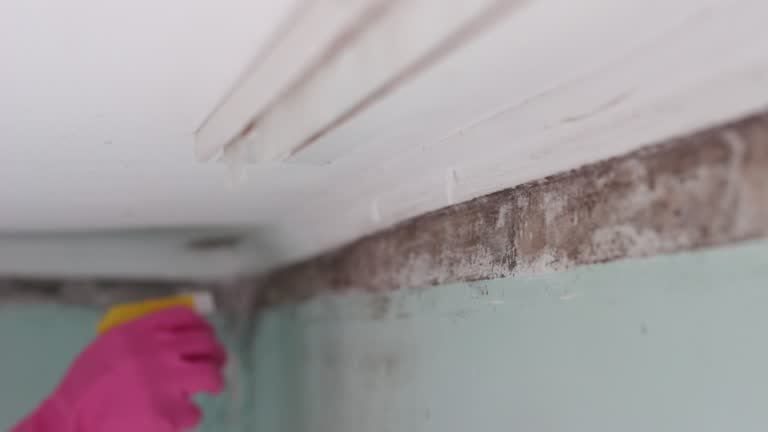 Best Dehumidification Services  in Summerset, SD